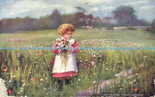 R596578 Gathering Wild Flowers Country Life Tuck Oilette 754