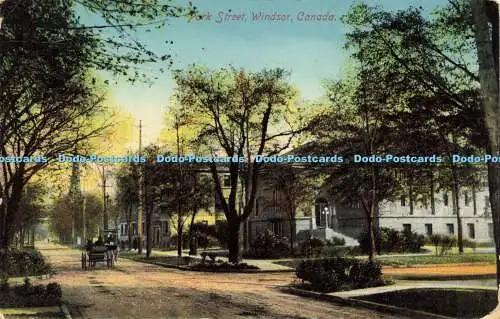 R594517 Canada Windsor Pork Street Stedman Bros 1912