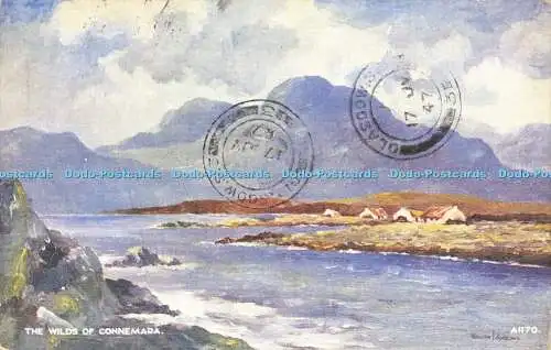 R596630 Wilds of Connemara A1170 Kunstfarbe W J Burrows Valentines