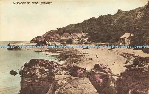 R594564 Torquay Babbacombe Beach W S Gibbs