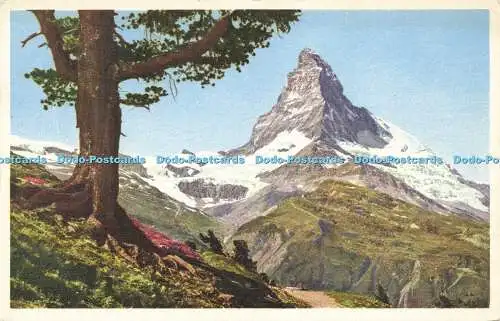 R599510 Riffelalp Matterhorn Stehli No 1011