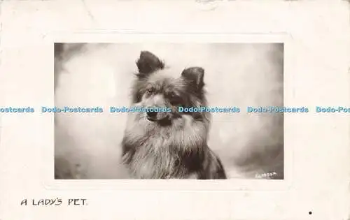 R599950 A Lady Pet Boots Cash Chemists Real Photograph Series