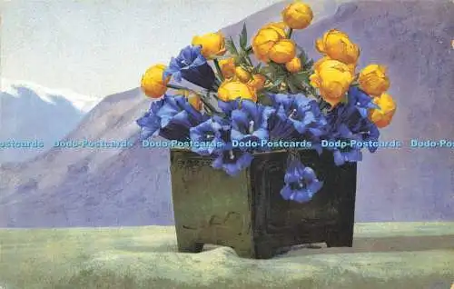 R602346 Blumen Photochromie Serie 505 Nr 751