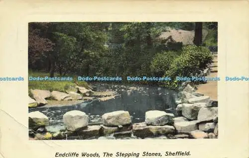 R602481 Endcliffe Woods Trittsteine Sheffield A und G Taylors Orthochrome Se