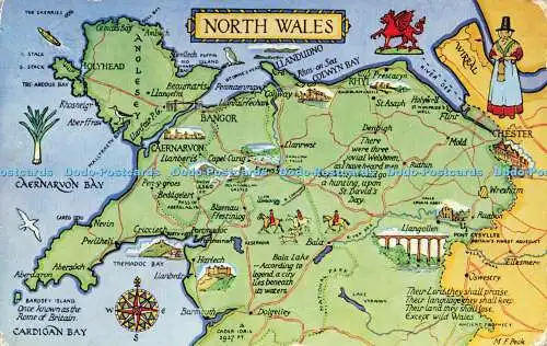 R602545 North Wales M F Peck Map Salmon