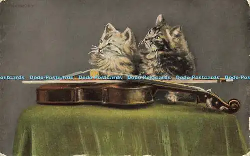 R602634 Harmony Cats Kätzchen Violine Kromo Serie Nr 21686 XX B und D 1910