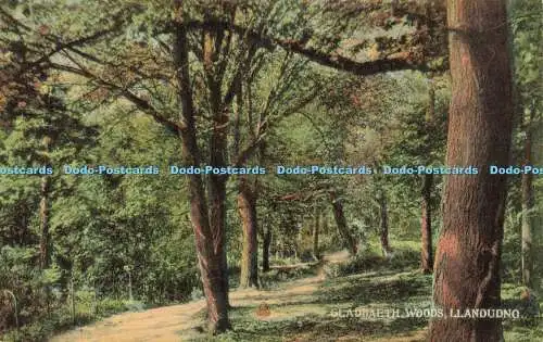 R602658 Gladdaeth Woods Llandudno Milton Glazette Series No 1440A Woolstone Bros
