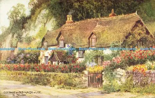 R601191 Cottage of Old Maids of Lee N Devon Salmon