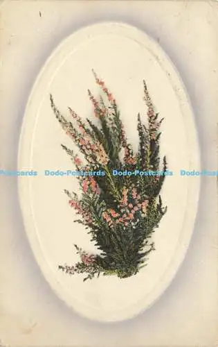 R604864 Grußkarte Blumen J M Nr 628 1910