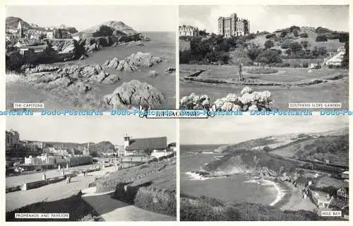 R601338 Ilfracombe Salmon Multi View