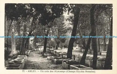 R601434 77 Arles Un coin des Alyscamps Champs Elysees Romains J George