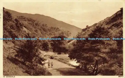R601516 in Dovedale 86340 Photochrom
