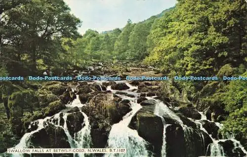 R609885 N Wales Swallow Falls at Betws y Coed E T W Dennis Photocolour