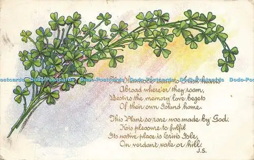 R607961 The Shamrock dear to Irish hearts Abroad where they room N P O Gem Serie