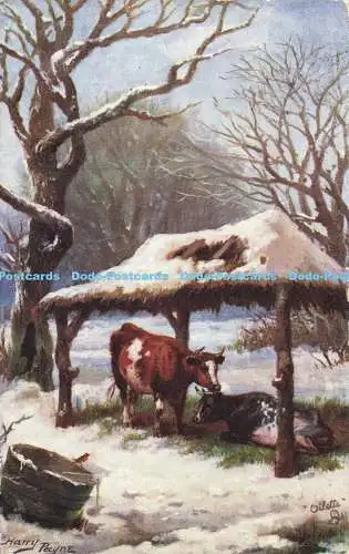 R605423 A Cold Shelter Tuck Oilette Postkarte 9028 Harry Payne