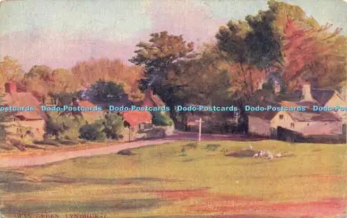 R601813 Swan Green Lyndhurst