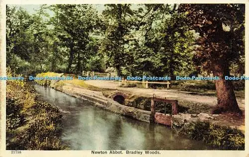 R601831 21758 Newton Abbot Bradley Woods