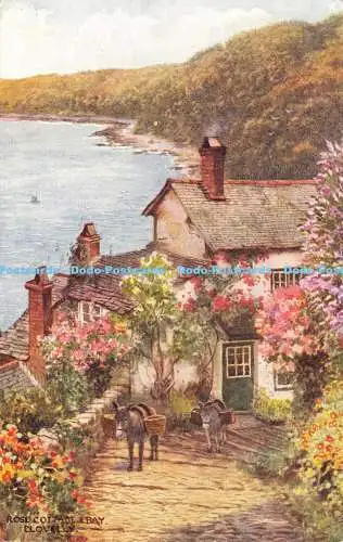 R603328 Clovelly Rose Cottage and Bay J Salmon 1951