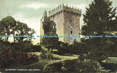 R605534 Blarney Castle Co Cork Chas L Reis 1910