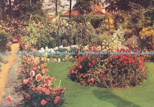 R605556 Gartenstudien Deko Dahlien Hobby Gartenarbeit Nr 26 einer Serie von