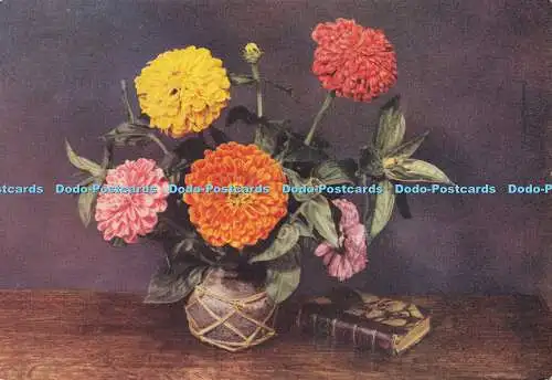 R605559 Zinnien sind langlebige frische Schnittblumen halten Wochen Nr 21 von