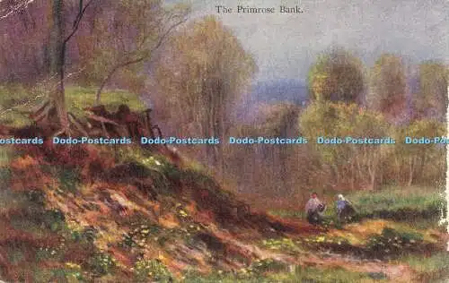 R608168 The Primrose Bank C W Faulkner Series No 583 E 1906