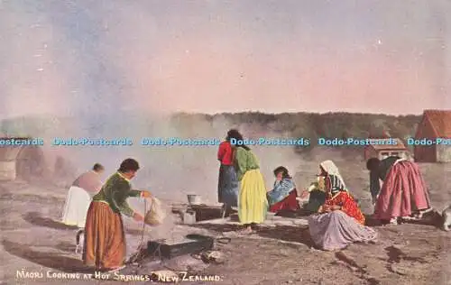 R610335 Maori Cooking at Hot Springs New Zealand S Hildesheimer No 5356