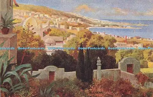 R610347 Algier Algerian Views Series No 5382 S Hildesheimer