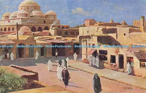 R610348 Tunis Algerian Views Series No 5382 S Hildesheimer