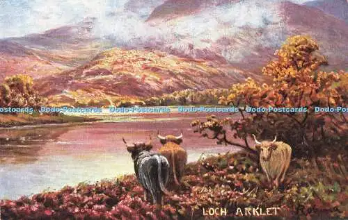 R610354 Loch Arklet Robina Scottish Lochs No 5370 S Hildesheimer