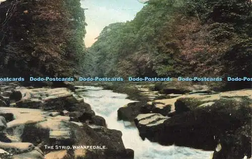 R608329 Wharfedale The Strid E T W Dennis Dainty Serie 1909