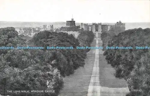 R605850 Long Walk Windsor Castle 78104 Valentines V und S D