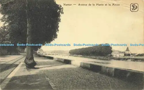 R605917 Namur Avenue de la Plante et la Meuse S D 129 r Rogier 1918