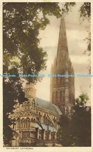 R610656 Salisbury Cathedral W P Serie 1939