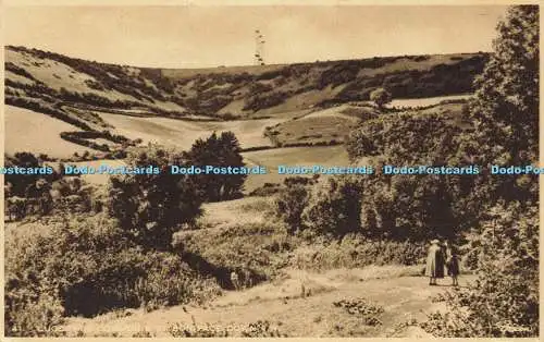 R608584 I W Luccombe Common St Boniface Down J Arthur Dixon Monochrome Photograv