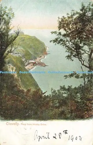 R604132 Clovelly Peep from Hobby Drive Pictorial Stationery Peacock Autochrom 19