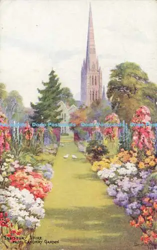 R604173 Salisbury Spire von Canonry Garden J Salmon Dorothy Brown