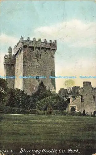 R611005 Co Cork Blarney Castle Hartmann 1905