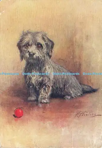 R604188 The Dandie Dinmont Terrier Godfrey Phillips Associated Brands Serie Nr.