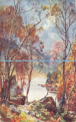 R611085 Where Twines the Path Cynicus Publishing 1904