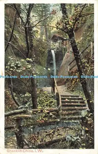 R604308 I W Shanklin Chine Bild Briefpapier Pfau Autochrom 1904