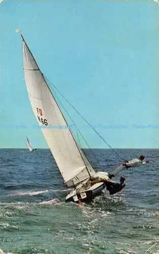 R604348 International Flying Dutchman J Salmon