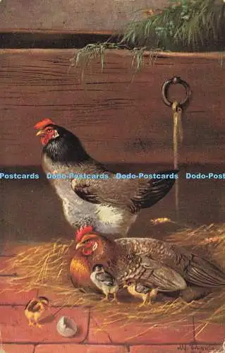 R611235 Hahn mit Huhn und Hühnern T S N Serie 1991 6 Dess