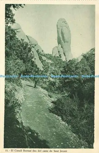 R611290 El Cavall Bernat des del cami de Sant Jeroni Funicular de Montserrat a S