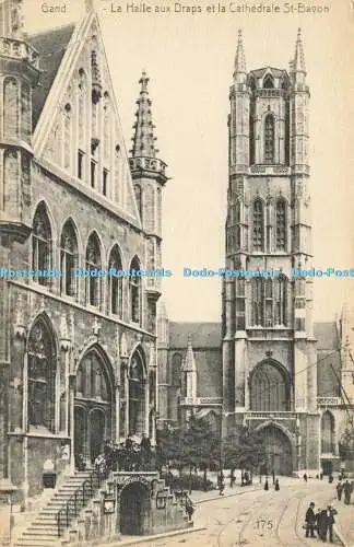 R611375 Gand La Halle aux Draps et la Cathedrale St Bavon