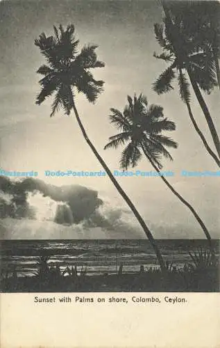 R604595 Ceylon Colombo Sunset with Palms on Shore Plate No 26