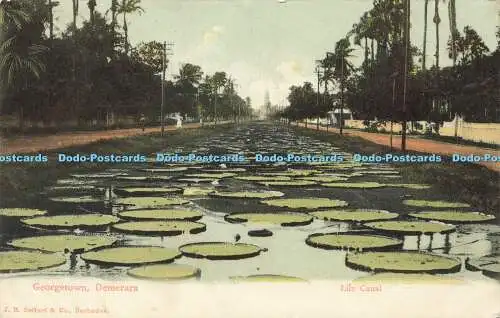 R609306 Georgetown Demerara Lily Canal J R Seifert Brillant Chromo 1905