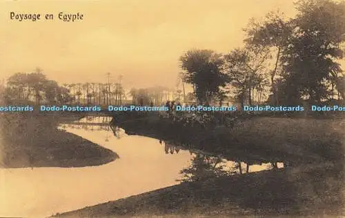 R606756 Paysage en Egypte Serie 208 Cairo Postcard Trust