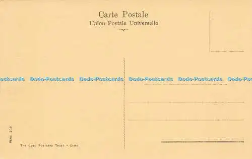 R606758 Carowane de Chameaux Serie 208 Cairo Postcard Trust