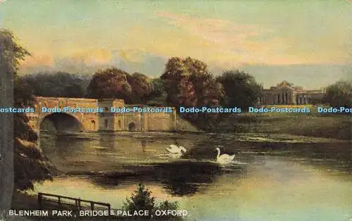 R609335 Oxford Blenheim Park Bridge and Palace Langsdorff Zeus Jupiter No 684